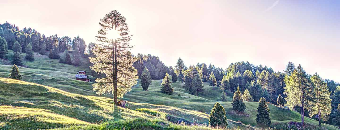 电子娱乐十大平台